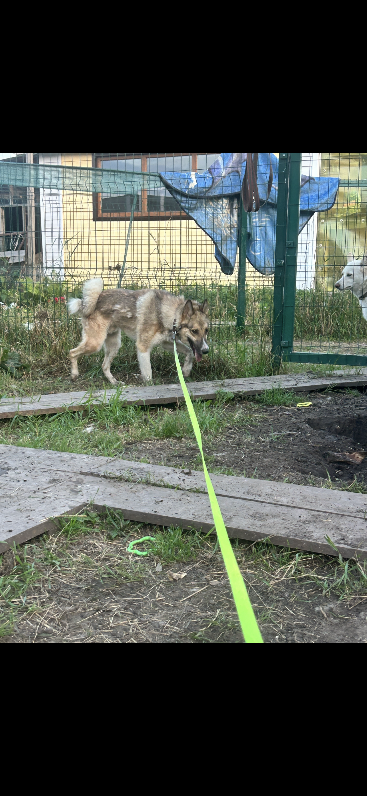 Гром