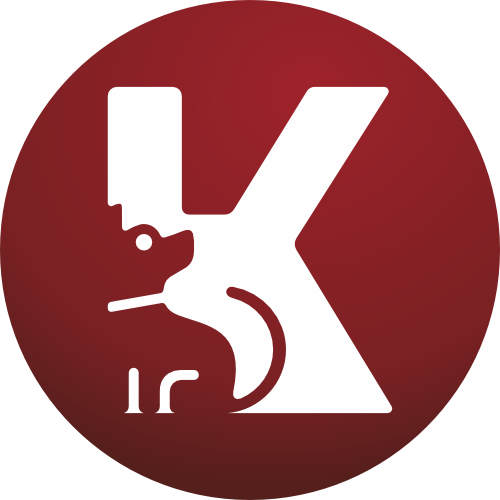 Логотип партнёра Клубус - организатор проекта