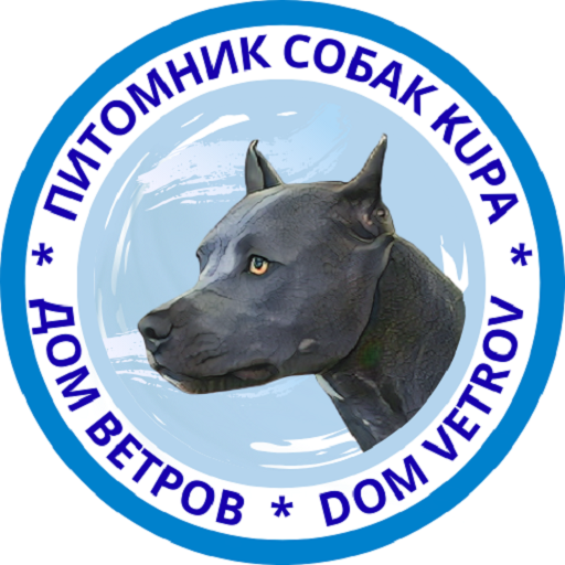 ДОМ ВЕТРОВ — DOM VETROV