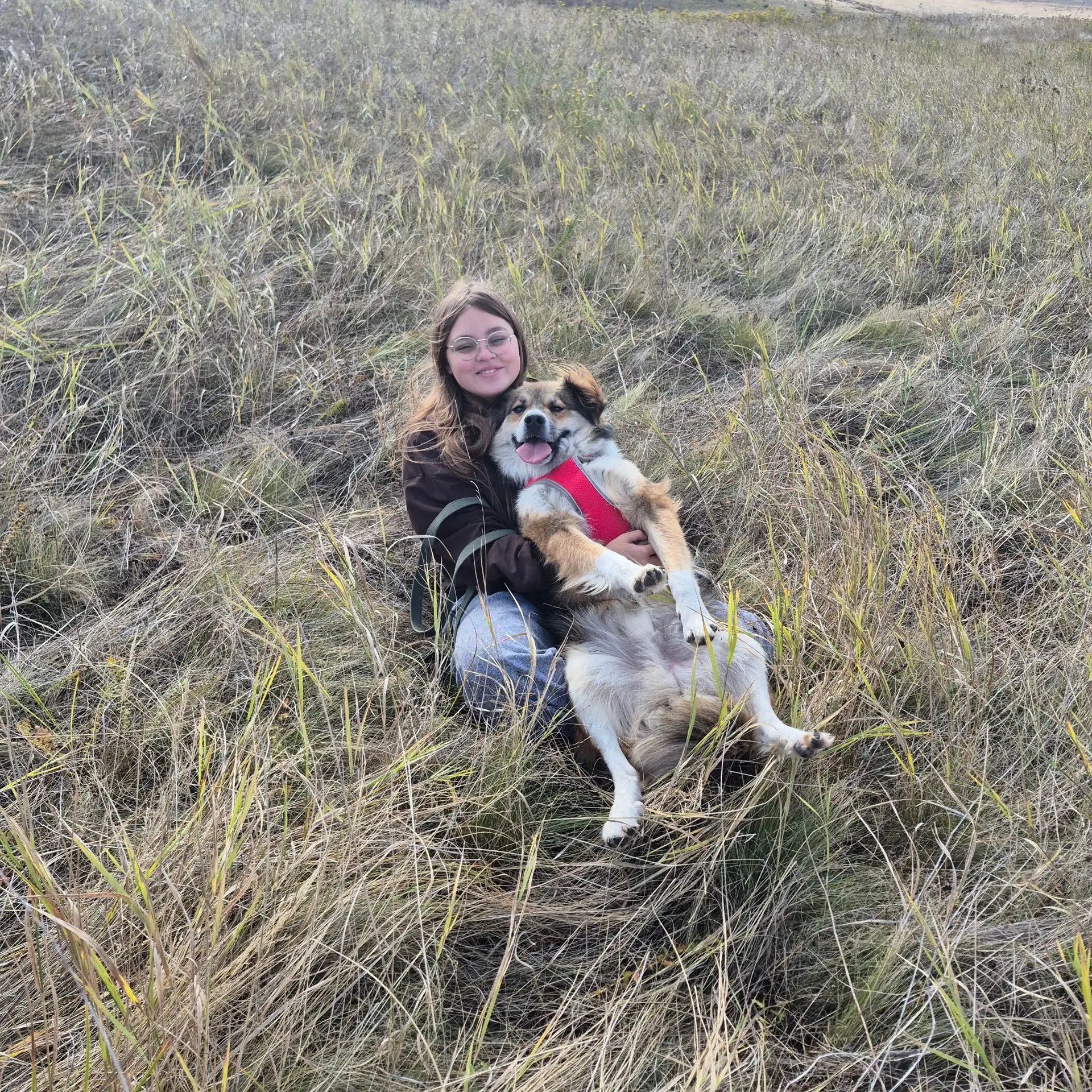 Локи