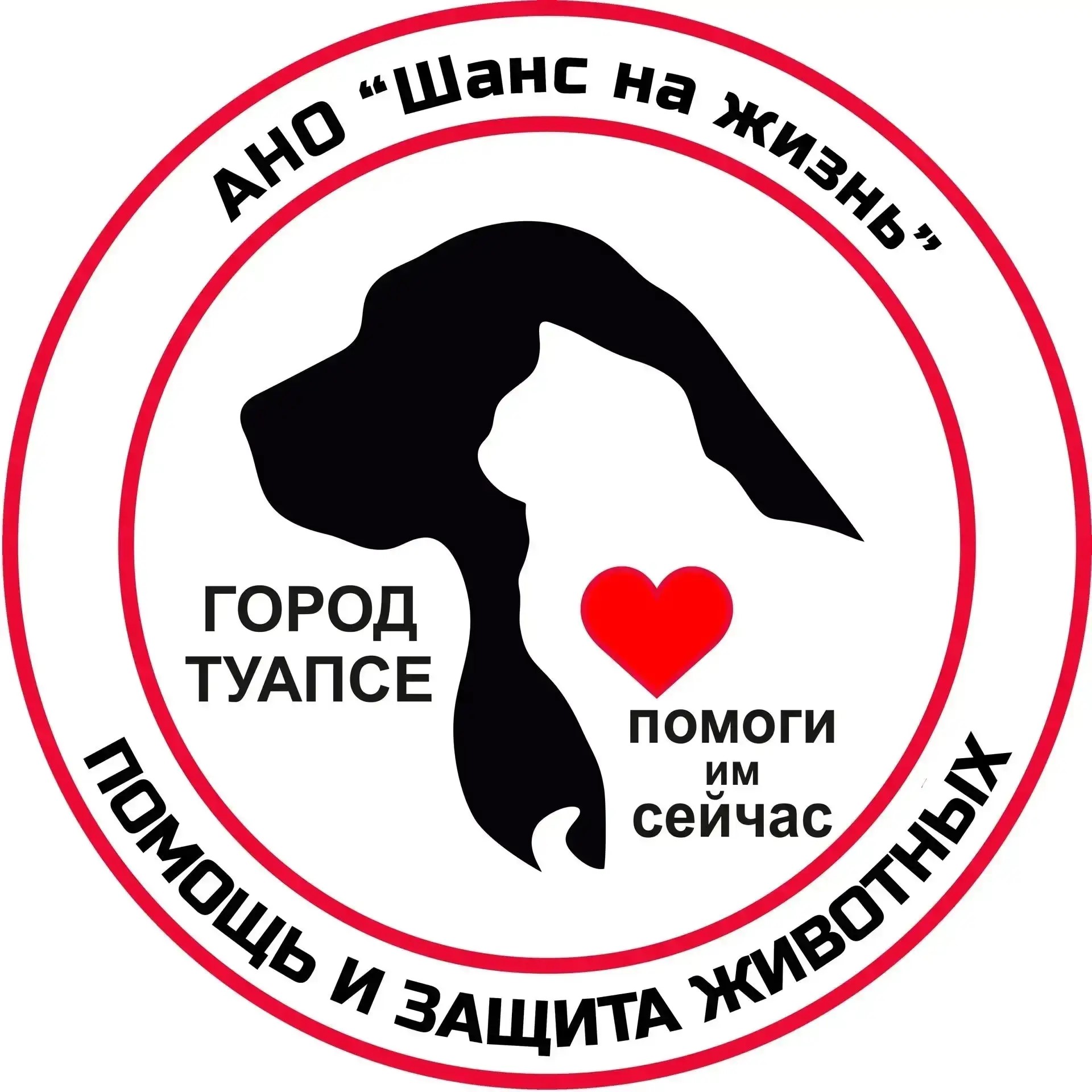 Логотип АНО «Шанс на жизнь» в Туапсе