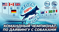 дайвинг с собаками.png дайвинг с собаками.png