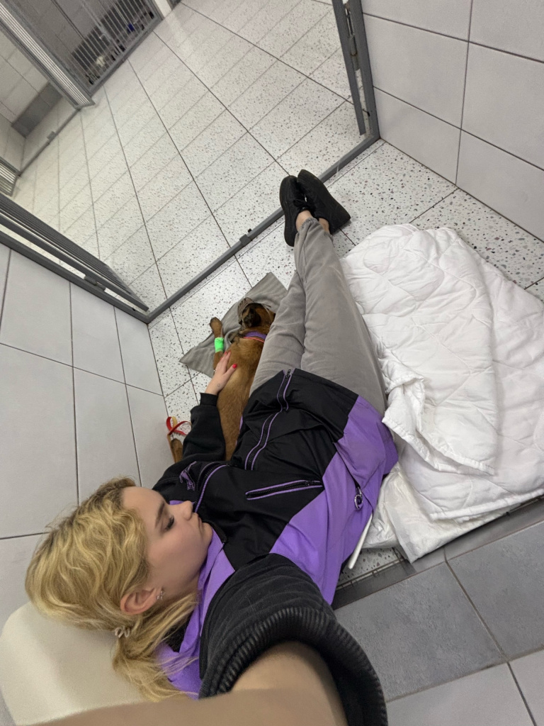 Что я сделала после болезни Шайни малинуа.jpg Что я сделала после болезни Шайни малинуа.jpg
