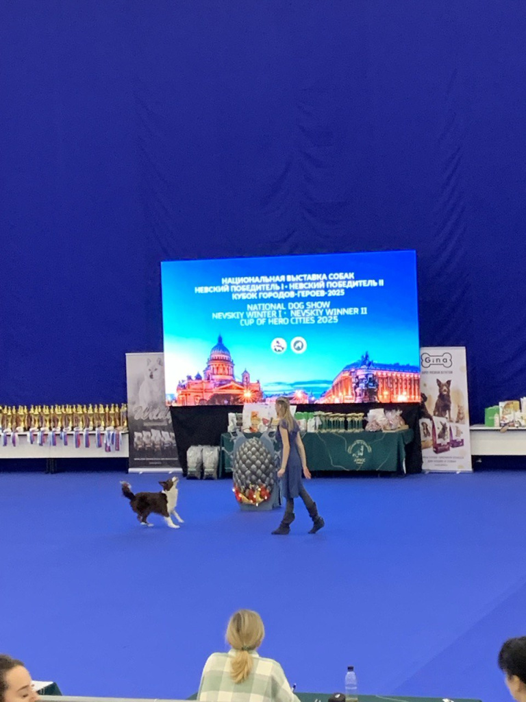 Танцы Зоошоу_Клубус.jpg Танцы Зоошоу_Клубус.jpg