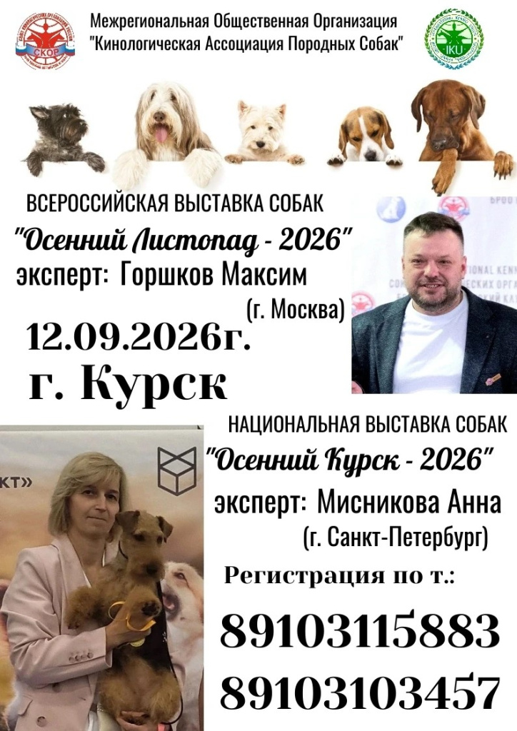 выставка собак курск 12.09.26г..jpg выставка собак курск 12.09.26г..jpg