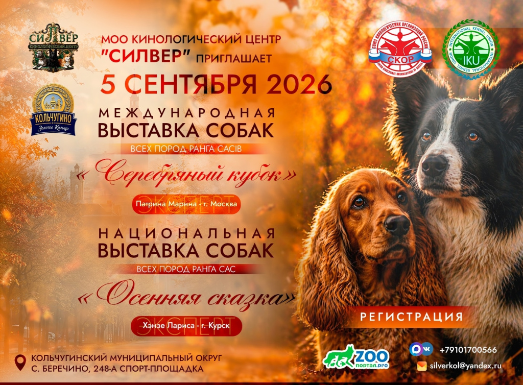 выставка собак 5 сентября.jpg выставка собак 5 сентября.jpg