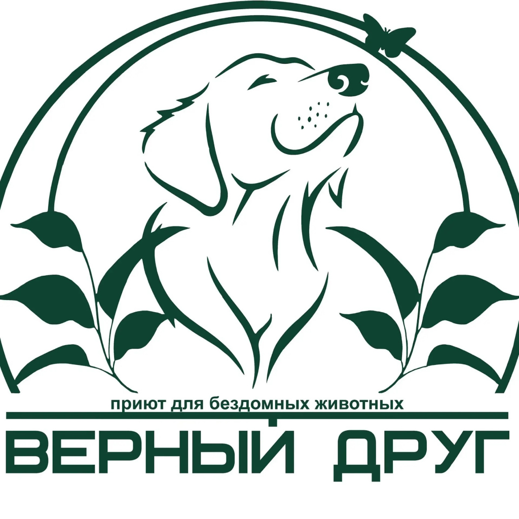 ee4474e7-d27c-4080-9475-98e471aebcde.jpg ee4474e7-d27c-4080-9475-98e471aebcde.jpg