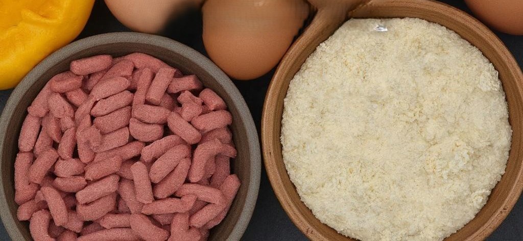 натуральный корм для собак vs корм из магазина.jpeg натуральный корм для собак vs корм из магазина.jpeg