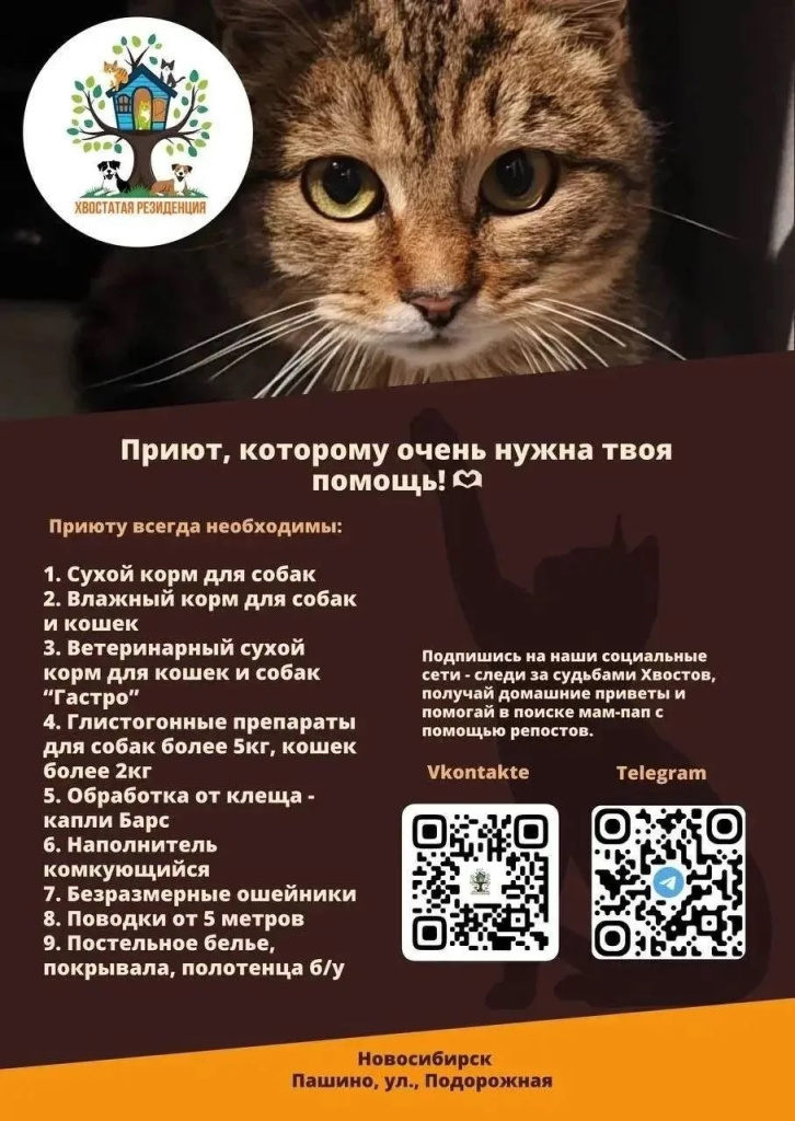 cac77400-3a9e-4061-b61b-6812c2266da3.jpg