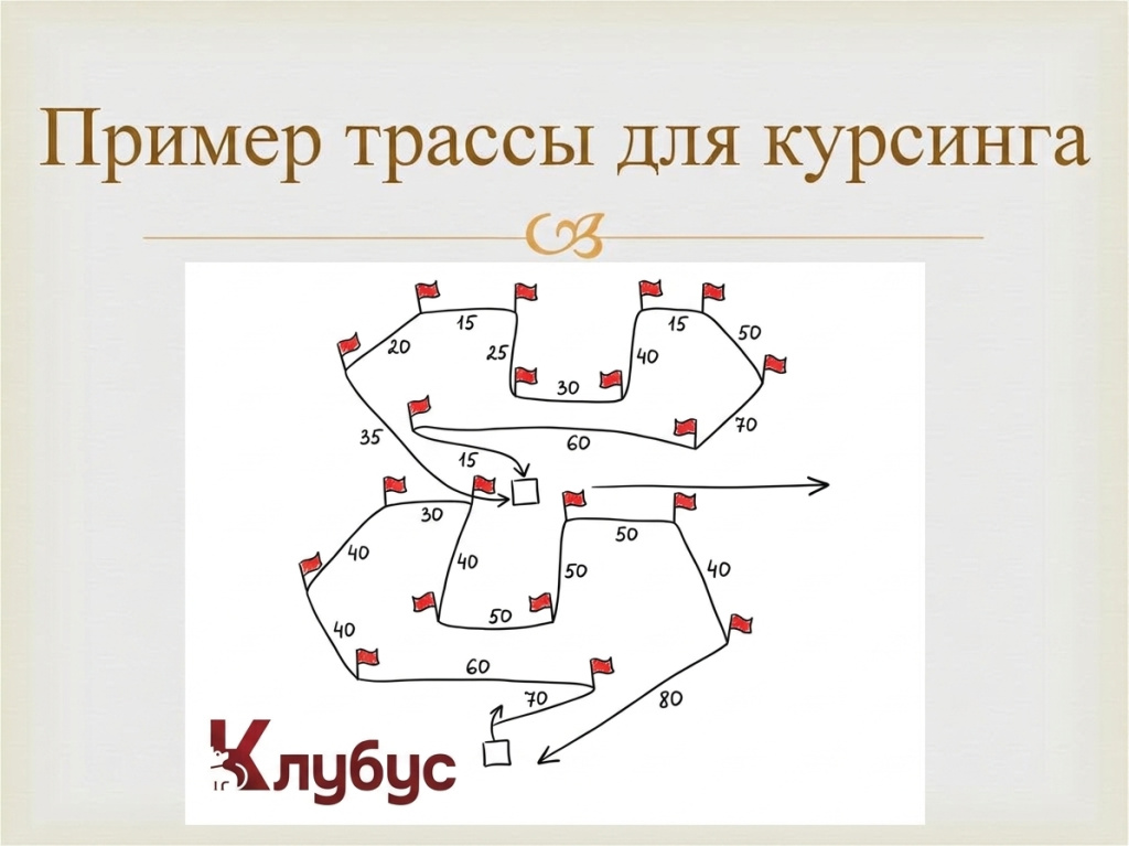 trassa dlya kursing.png trassa dlya kursing.png