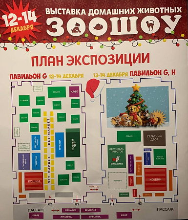 ЗооШоу 2025: Санкт-Петербург завершил кинологический год грандиозным праздником для всех видов домашних животных