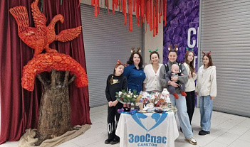 «Счастливые билеты» для хвостиков: как новогодний розыгрыш ЗооСпас в Саратове подарил праздник людям и надежду — животным