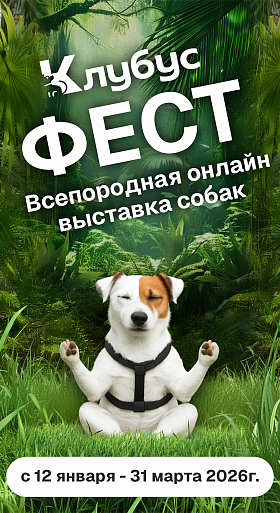 Клубус Фест выставка собак