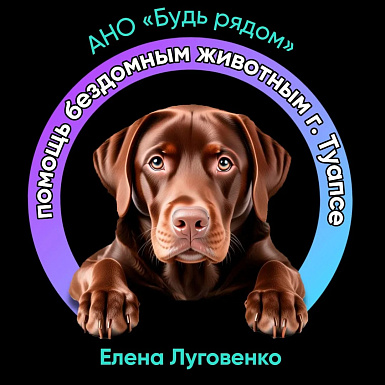 АНО ПОМОЩИ БЕЗДОМНЫМ ЖИВОТНЫМ «БУДЬ РЯДОМ» - приют в Туапсе