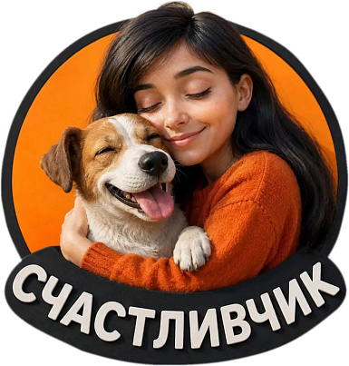 АНО «ЦЕНТР ПОМОЩИ ЖИВОТНЫМ СЧАСТЛИВЧИК» - приют для собак в Волгограде