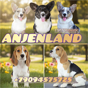 Anjenland 