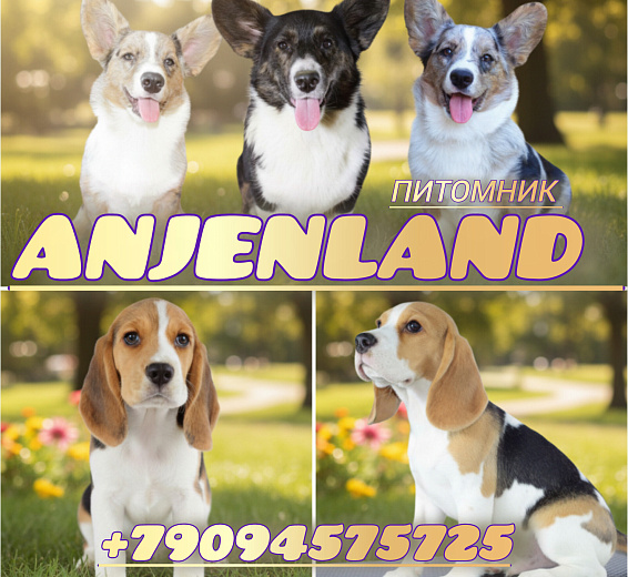 Anjenland 