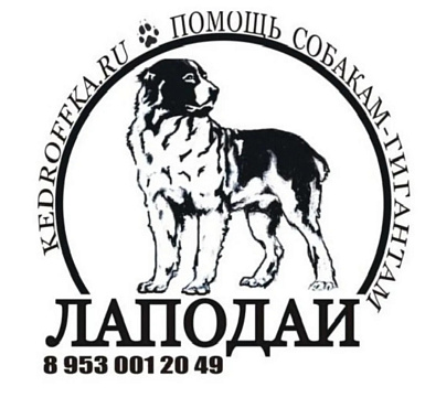 Приют "ЛАПОДАЙ"