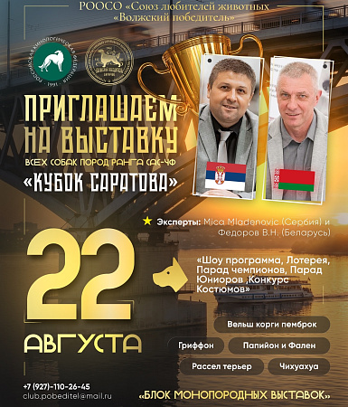 Выставка собак в Саратове 22 августа 2026: САС-ЧФ, монопородные выставки и советы для новичков