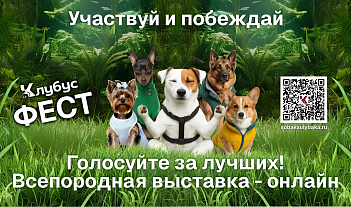 Весёлый январский розыгрыш от КлубУС Фест для наших любимцев!