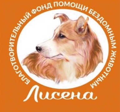 Благотворительный фонд помощи бездомным животным Лисена