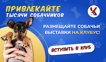 Хорошие новости: мы запустили раздел «Выставки» на сайте Клубус