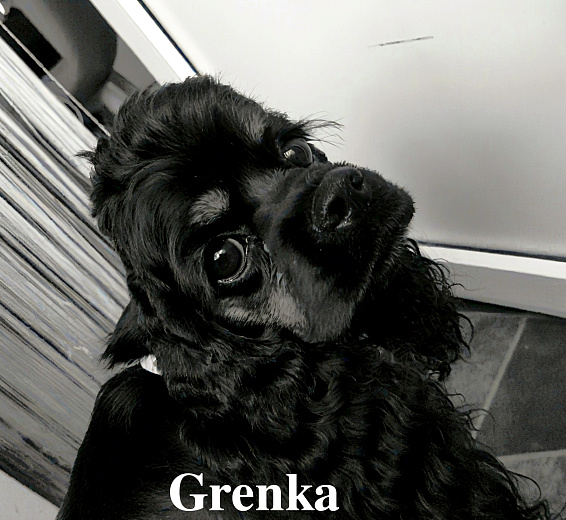 Гренка 