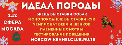 Монопородная АМЕРИКАНСКИЙ СТАФФОРДШИРСКИЙ ТЕРЬЕР - КЧК - "ИДЕАЛ ПОРОДЫ 2025" Москва