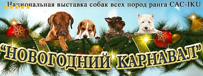 Национальная всепородная выставка собак "Новогодний карнавал" Волгоград