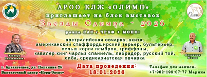 НАЦИОНАЛЬНАЯ ВЫСТАВКА СОБАК ВСЕХ ПОРОД "ЗВЕЗДЫ ОПИМПА". Ранг ЧРКФ